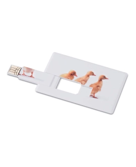 Pendrive karta kredytowa 4GB z nadrukiem full color